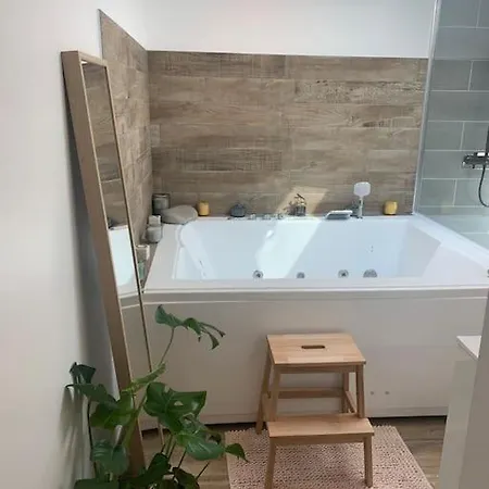 Des Hortillons Appartement