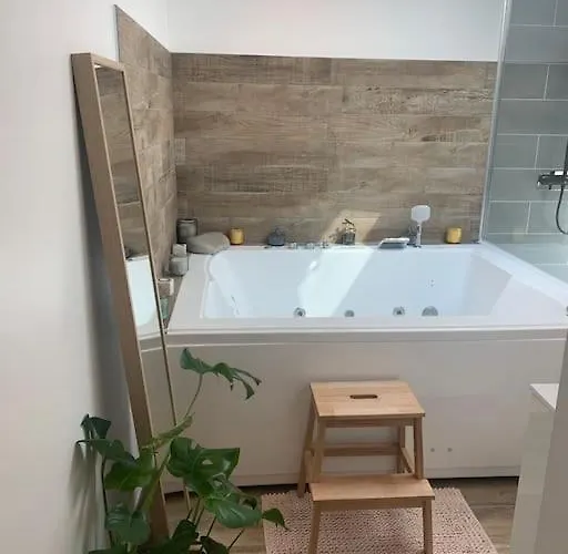 Des Hortillons Appartamento